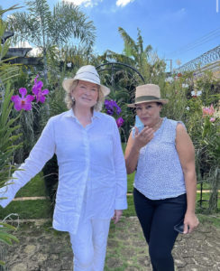 Martha Stewart por República Dominicana