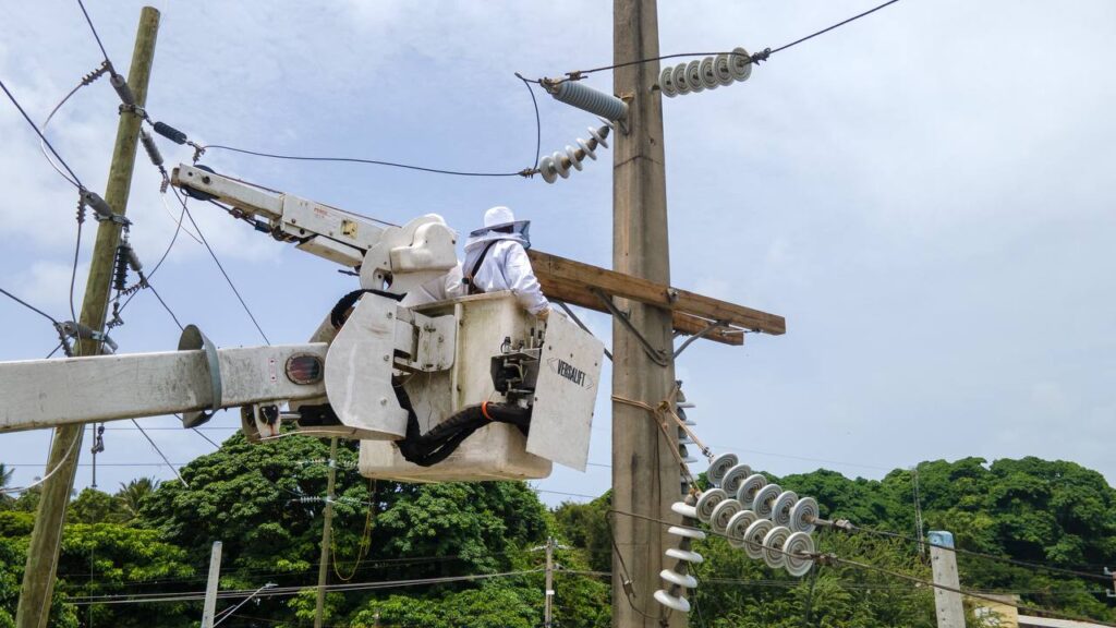 ETED trabajará este jueves en líneas del Distrito Nacional, Santo Domingo Este y el viernes en San Juan, eldigital.com.do