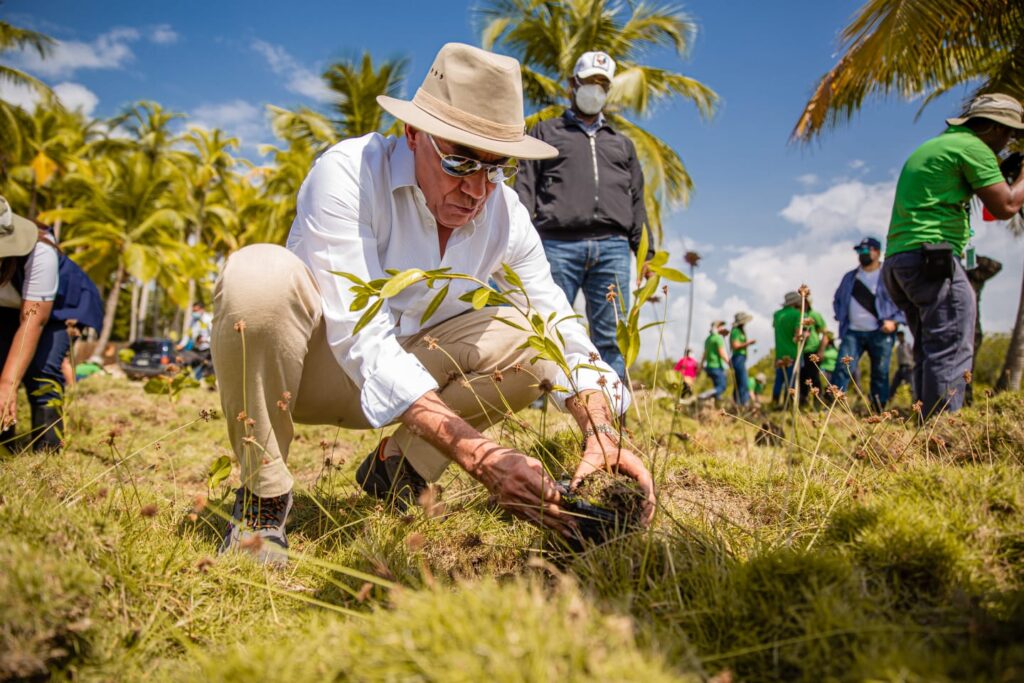 Colaboradores de ETED siembran 1,000 plantas de manglares en playa los Cuadritos en Nigua, eldigital.com.do