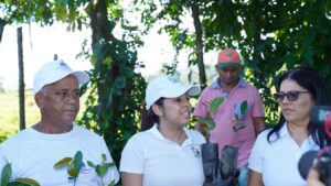 Voluntariado Bancentraliano realiza su 17ª jornada de reforestación, eldigital.com.do