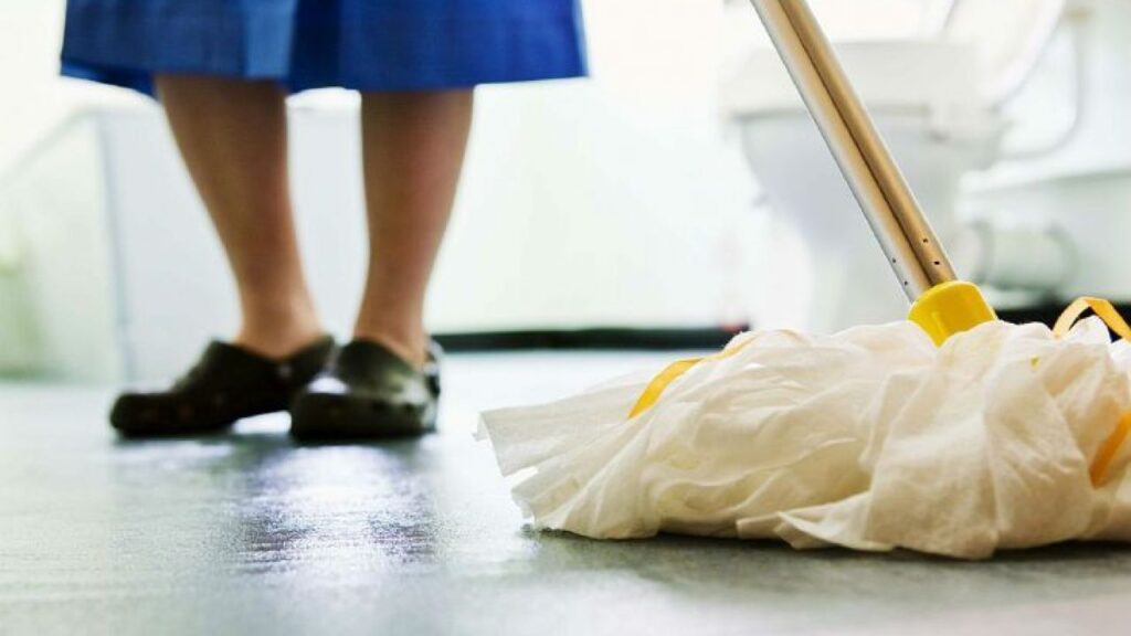 Empleadores obligados a registrar domésticas en la TSS y Seguridad Social, eldigitalcom.do