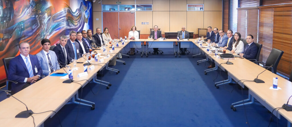 Valdez Albizu se reúne con ACOPROVI Y CADOCON para valorar medidas de estímulo monetario al sector Construcción, eldigital.com.do