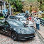 RD abraza la Sostenibilidad con el Día de la Movilidad Eléctrica que organiza cada año Zero EmisionRD, eldigital.com.do