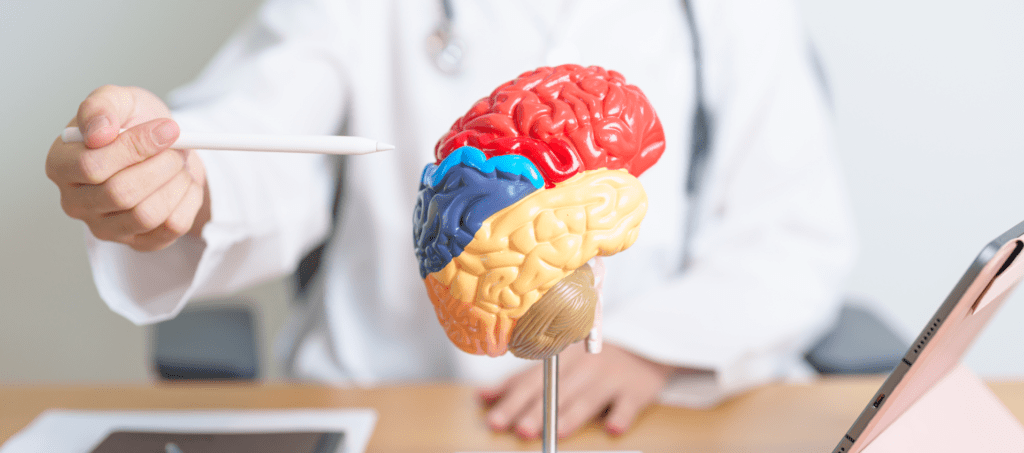Cómo prevenir un accidente cerebrovascular en personas con Diabetes Tipo 2, eldigital.com.do