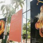 INICIA y la Alcaldía del DN inauguran exhibición fotográfica del libro Pétalos y Colores, eldigital.com.do