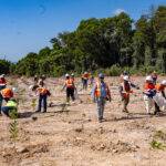 Plantan más de 3 mil plantas en el Día Internacional de los Bosques, eldigital.com.do