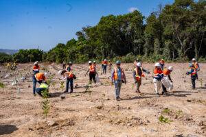 Plantan más de 3 mil plantas en el Día Internacional de los Bosques, eldigital.com.do