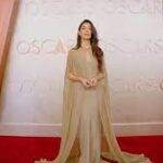 La colorida alfombra roja de los 97 premios Oscar, eldigital.com.do