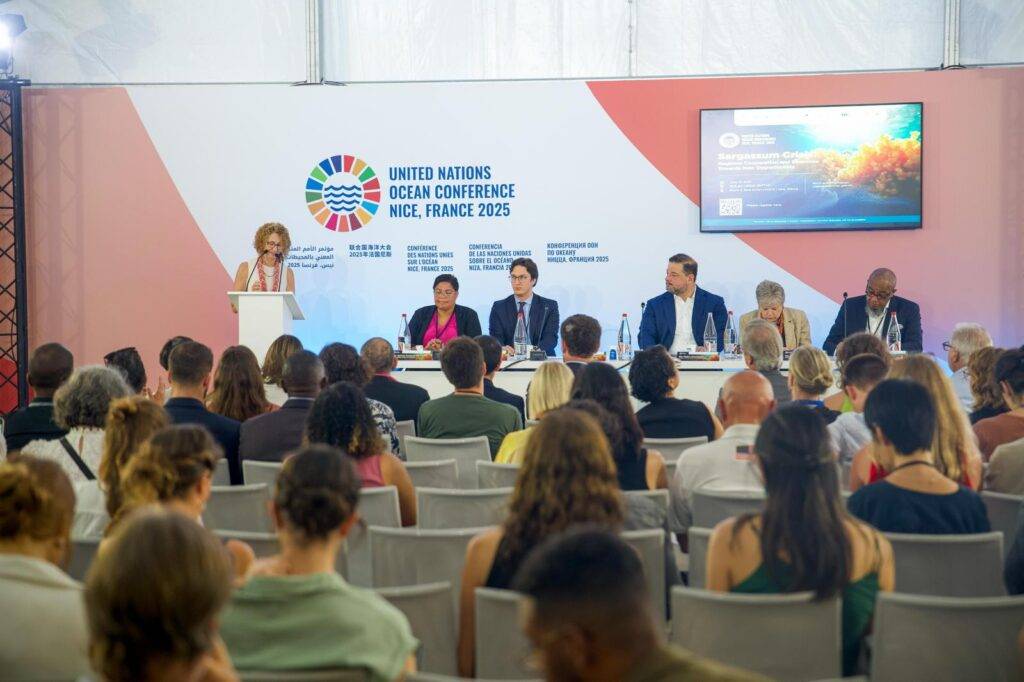 República Dominicana lidera acción regional contra el sargazo en Conferencia de los Océanos, eldigital.com.do