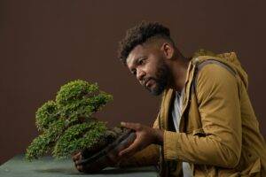 Embajada de Japón realizarán cuarta edición exposición nacional de Bonsái en Ágora Mall, eldigital.com.do