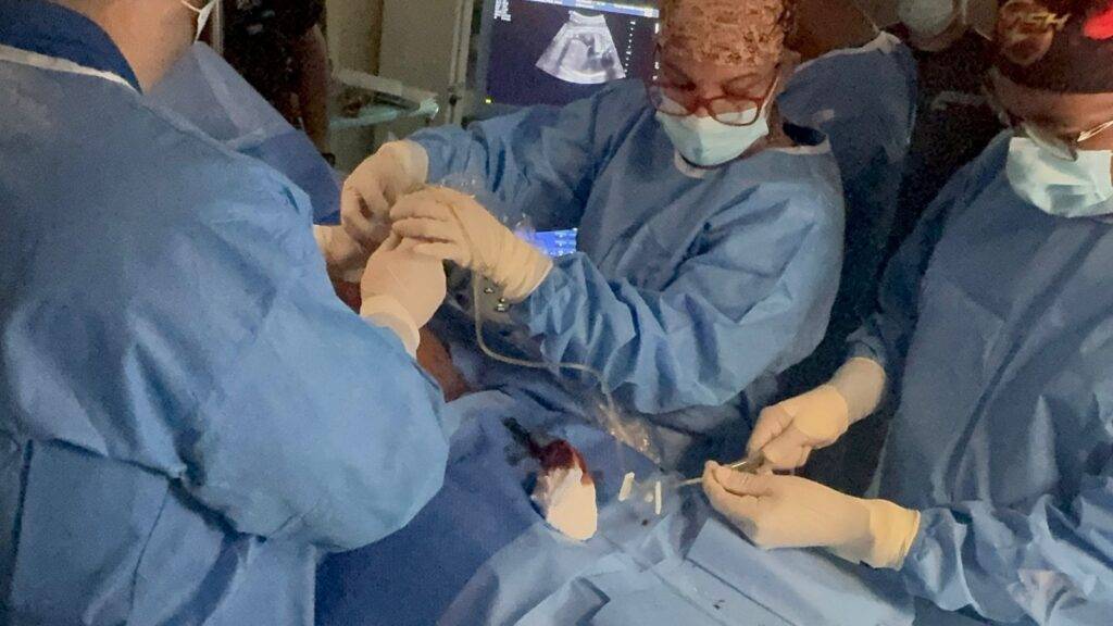 Realizan en Maternidad Los Mina primera Cirugía Fetal en la Red Pública y corrección de Hernia Diafragmática Vía Toracoscopia Asistida de RD, eldigital.com.do