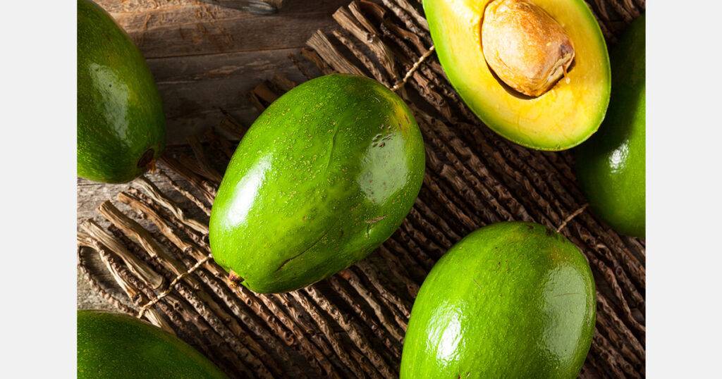 El aguacate de Cambita se convierte en el primer producto dominicano con certificación internacional, eldigital.com.do