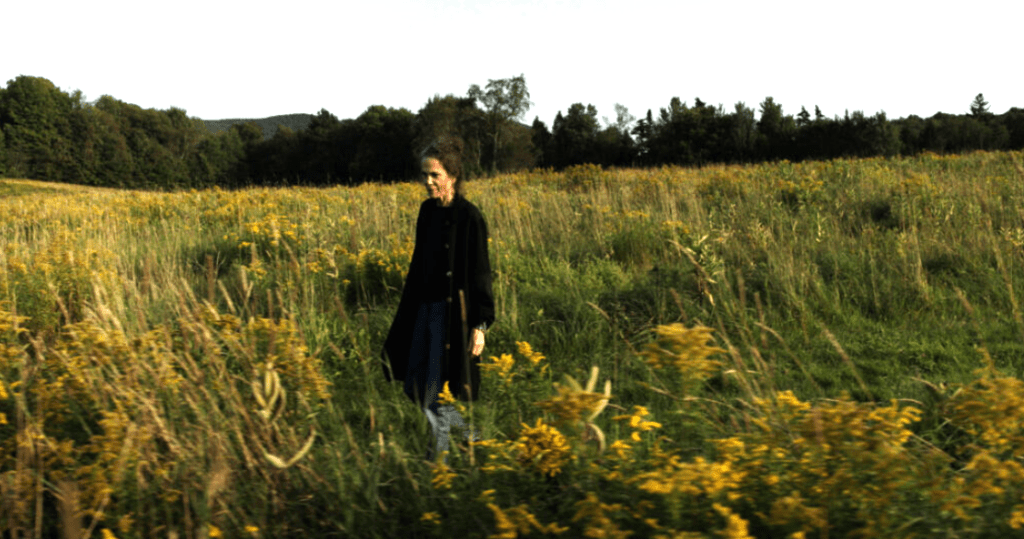 Lo mejor del Festival de Cine Global Santo Domingo 2026, eldigital.com.do