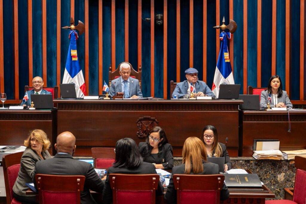 Senado aprueba en segunda lectura reforma a la Ley Orgánica del Régimen Electoral, eldigital.com.do