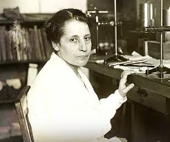 Lise Meitner eldigital.com.do