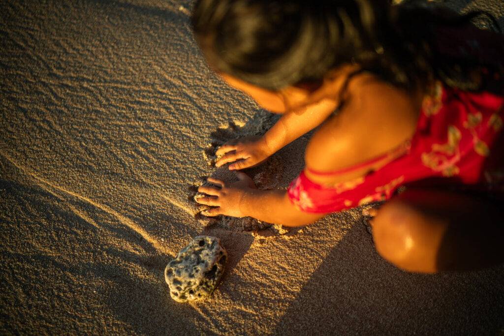 República Dominicana enfrenta niveles de violencia por encima del promedio regional, eldigital.com.do