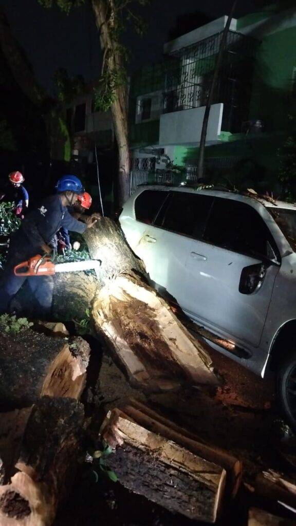 Bomberos y Alcaldía del Distrito Nacional retiran árboles caídos tras fuertes vientos, eldigital.com.do