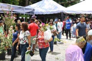 Jarabacoa celebra los 15 años del Festival de las Flores con una edición histórica, eldigital.com.do
