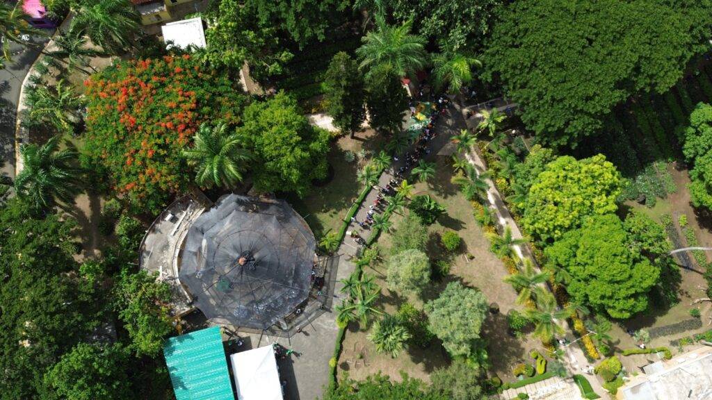 Más de 12 mil personas visitaron el Primer Festival de Plantas de la DIGECAC Más de 12 mil personas visitaron el Primer Festival de Plantas de la DIGECAC, eldigital.com.do