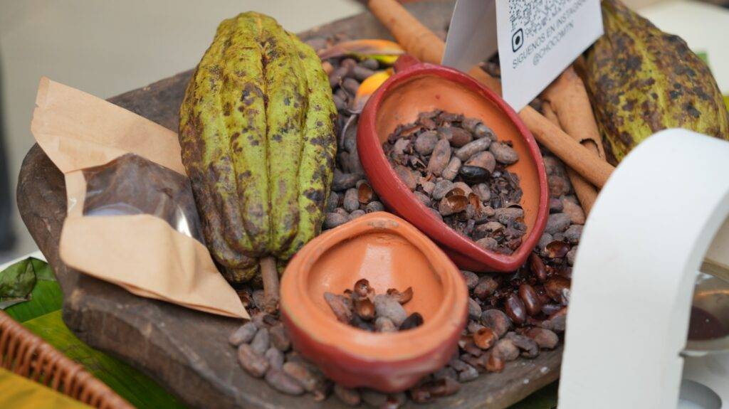 Santo Domingo recibirá la 6ta edición del Festival del Chocolate Dominicano Santo Domingo recibirá la 6ta edición del Festival del Chocolate Dominicano, eldigital.com.do