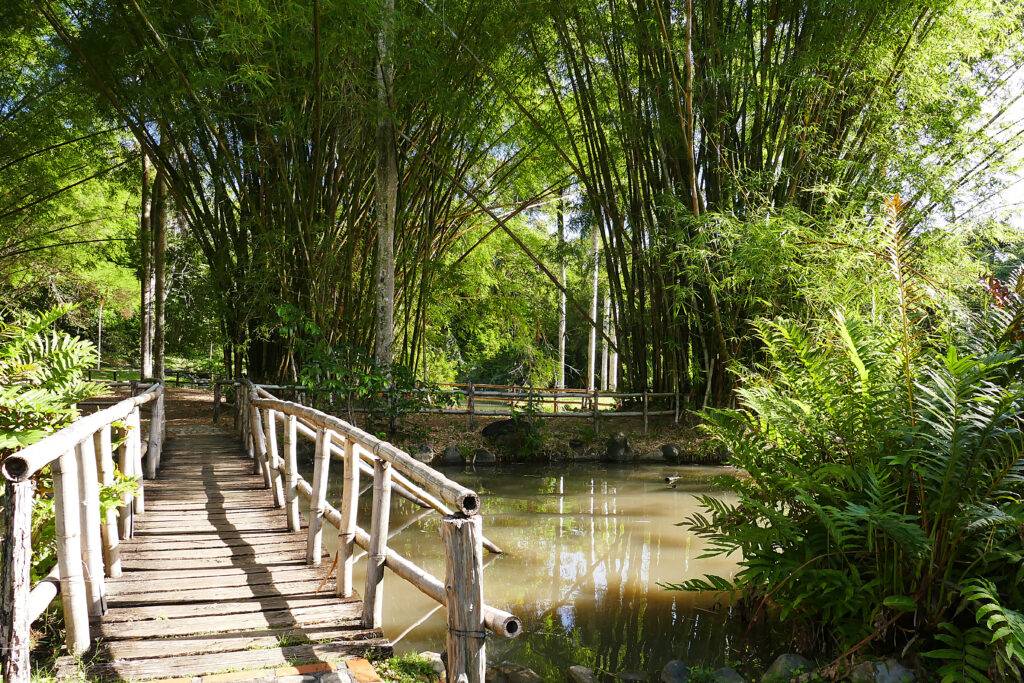 Así celebrarán el 50 aniversario del Jardín Botánico Nacional , eldigital.com.do